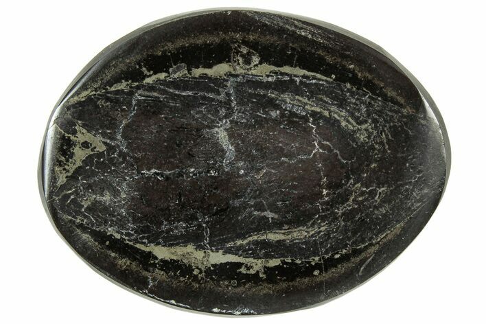 Polished Fish Coprolite (Fossil Poo) Nodule Half - Scotland #314897